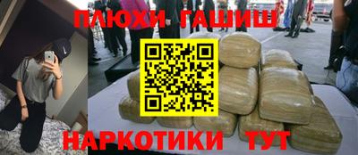 гидра Будённовск